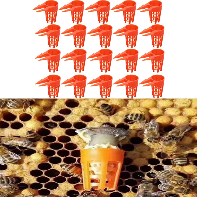 20шт Пластиковая Пчелиная Матка Защитная Крышка Ячейки Оборудование Для Пчеловодства Клетка Инструмент