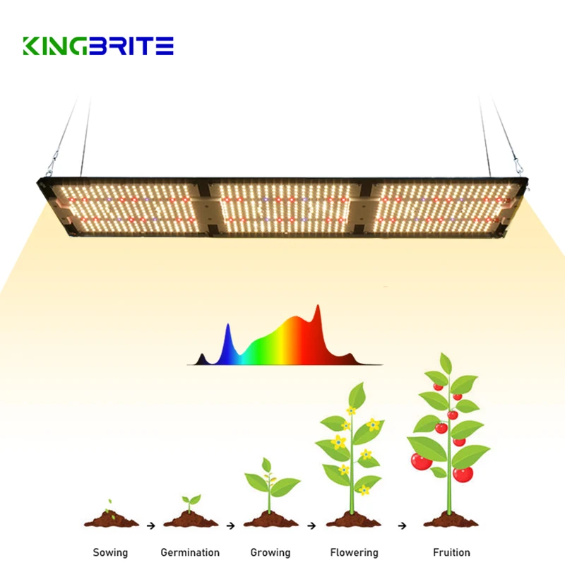 Kingbrite 320W QB288 v4 Board Led Quantum grow light LM301H с УФ-ИК-отдельным управлением для палатки для выращивания 2*4 футов